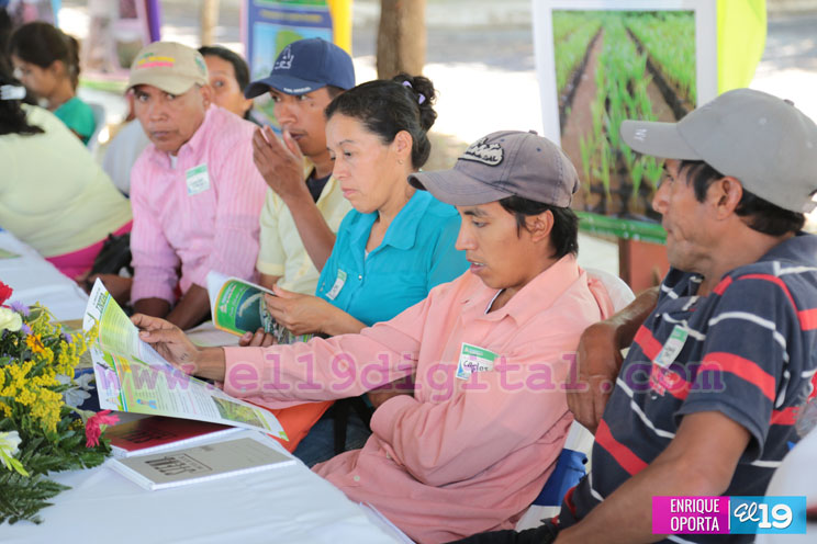 Productores de granos básicos abordan conservación de semillas criollas
